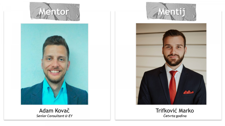 Letnji mentorski program u akademskoj 2016/2017. godini